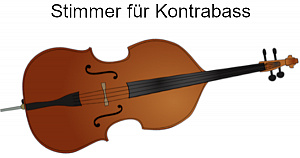 Stimmgerät für Kontrabass