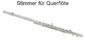 Stimmgerät für Querflöte