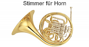 Stimmgerät für Horn